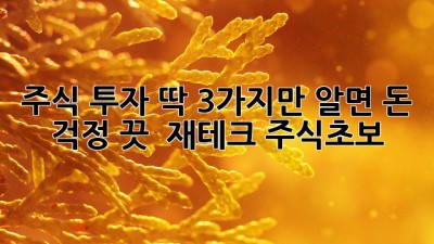 주식 투자, 딱 3가지만 알면 돈 걱정 끗! 💰 #재테크 #주식초보